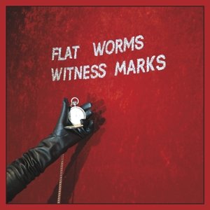 Виниловая пластинка Flat Worms - Witness Marks