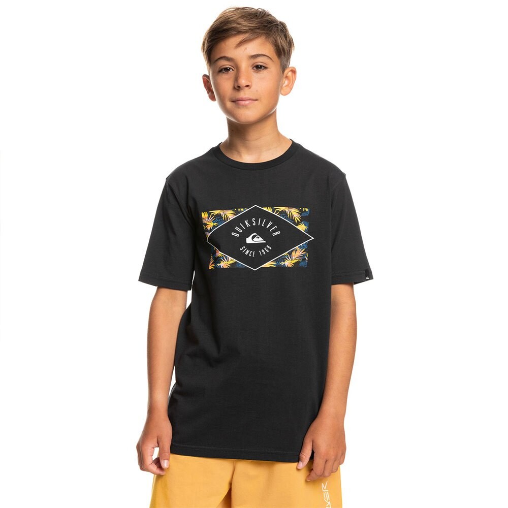 

Футболка Quiksilver Circled Line, черный