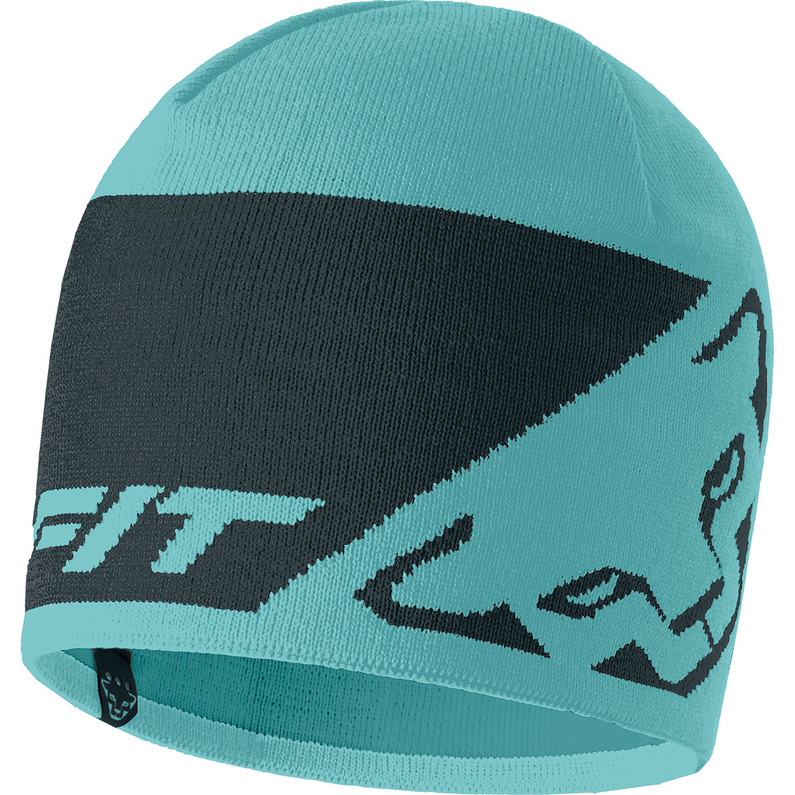 Шляпа с леопардовым логотипом Dynafit, бирюзовый шапка overwatch logo