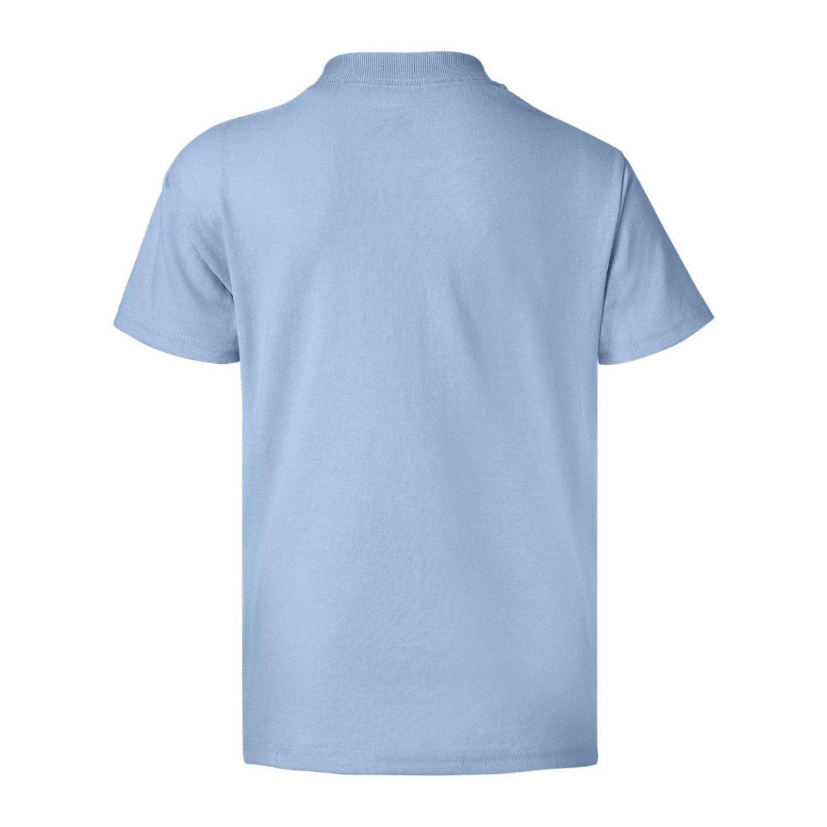 цена Молодежная футболка Ecosmart Floso, голубой