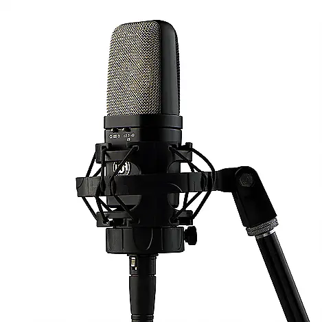 

Конденсаторный микрофон Warm Audio WA-14 Multipattern Brass Capsule Condenser Microphone