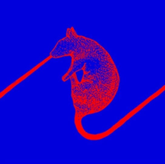 

Виниловая пластинка Dwarfs of East Agouza - Rats Don't Eat Synthesizers
