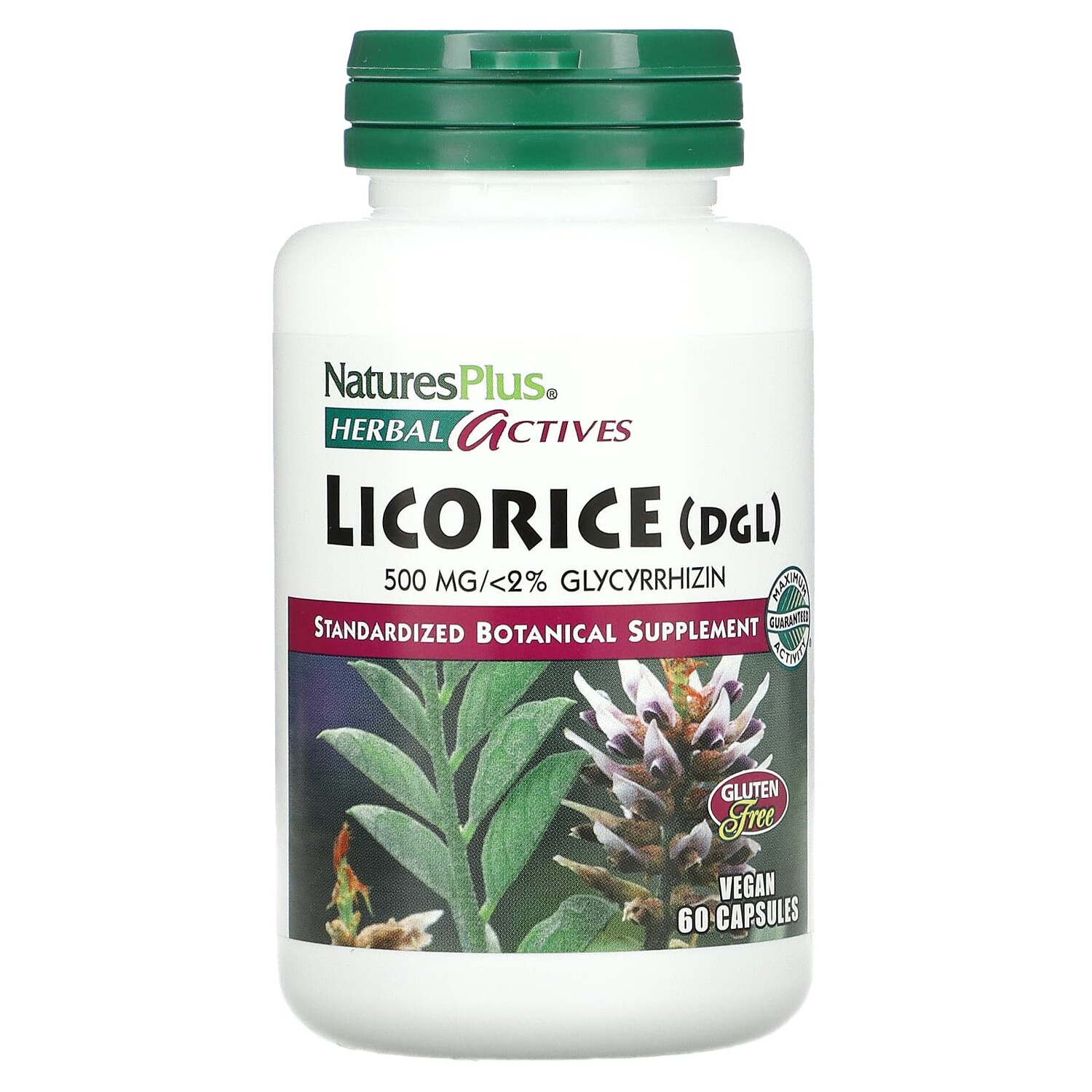 

Herbal Actives, солодка (DGL), 500 мг, 60 вегетарианских капсул, NaturesPlus