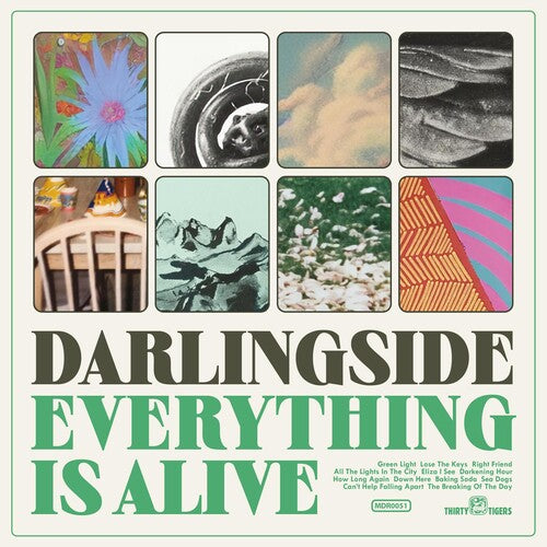 

CD диск Darlingside: Everything Is Alive