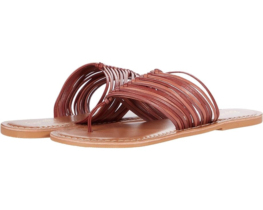 

Сандалии Seychelles Bright Eyed, цвет Terracotta Multi