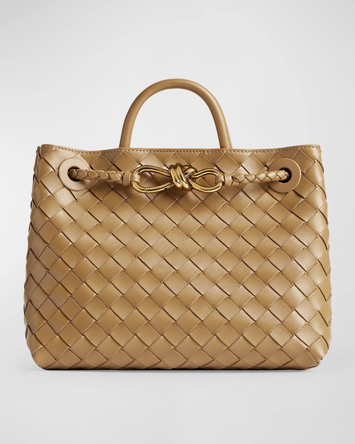 

Маленькая сумка Andiamo Bottega Veneta, цвет Dark Praline