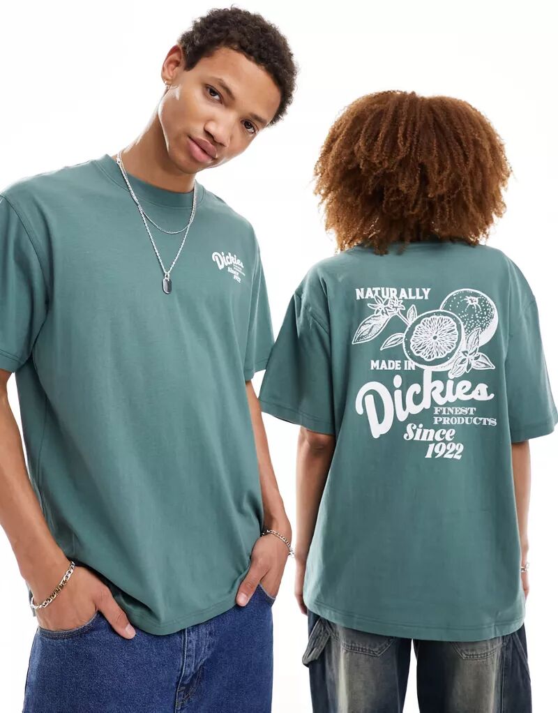 Темно-зеленая футболка Dickies Raven с принтом на спине