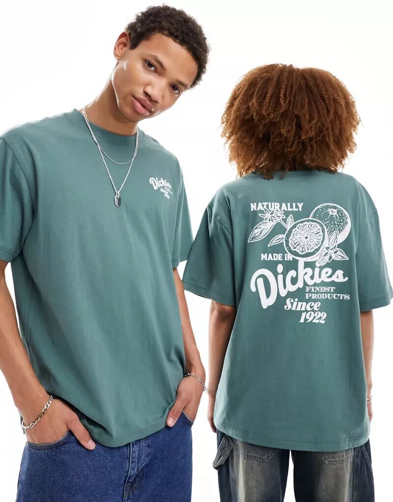 

Темно-зеленая футболка Dickies Raven с принтом на спине