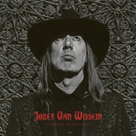 

Виниловая пластинка Van Wissem Jozef - We Adore You, You Have No Name