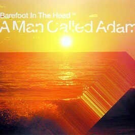 

Виниловая пластинка Various Artists - Barefoot In The Head