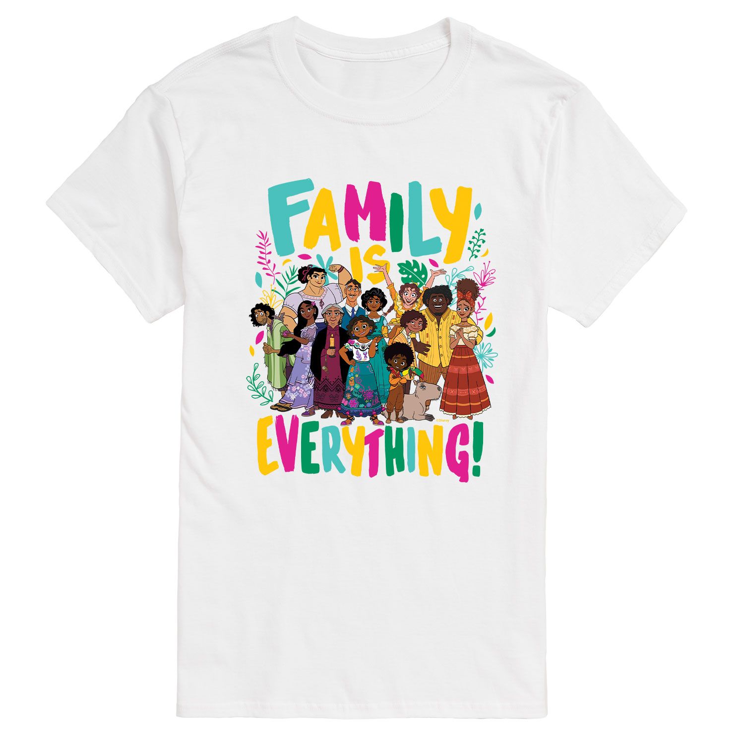 Семейная футболка Encanto от Big & Tall Disney License