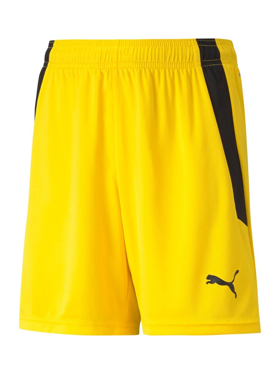 

Спортивные брюки PUMA Regular Workout Pants TeamLiga, желтый