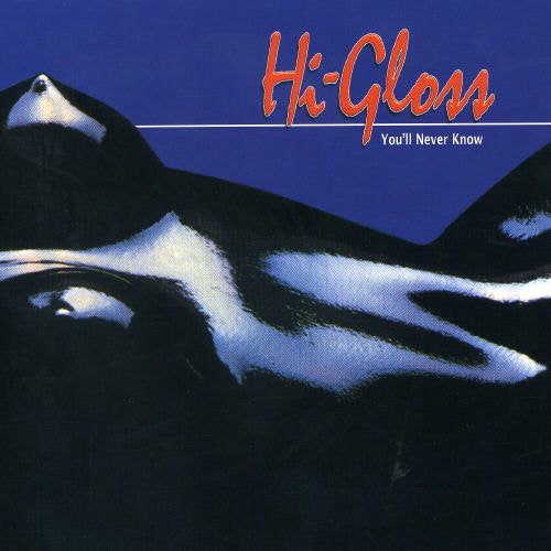 

CD диск Hi-Gloss: You'll Never Know