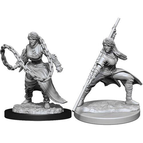 

Фигурки D&D Nolzur’S Marvelous Unpainted Miniatures (Wave 14): Human Monk Female WizKids