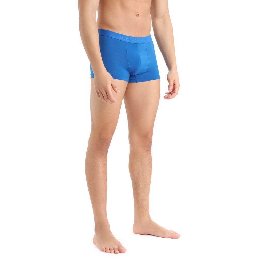 

Боксеры Icebreaker Anatomica Cool-Lite Trunks, серый