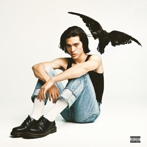 

Виниловая пластинка Gray Conan - Kid Krow