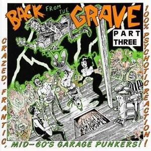 

Виниловая пластинка Various Artists - Back From the Grave 3