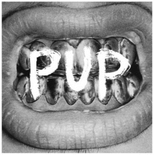 цена Виниловая пластинка Pup - Pup