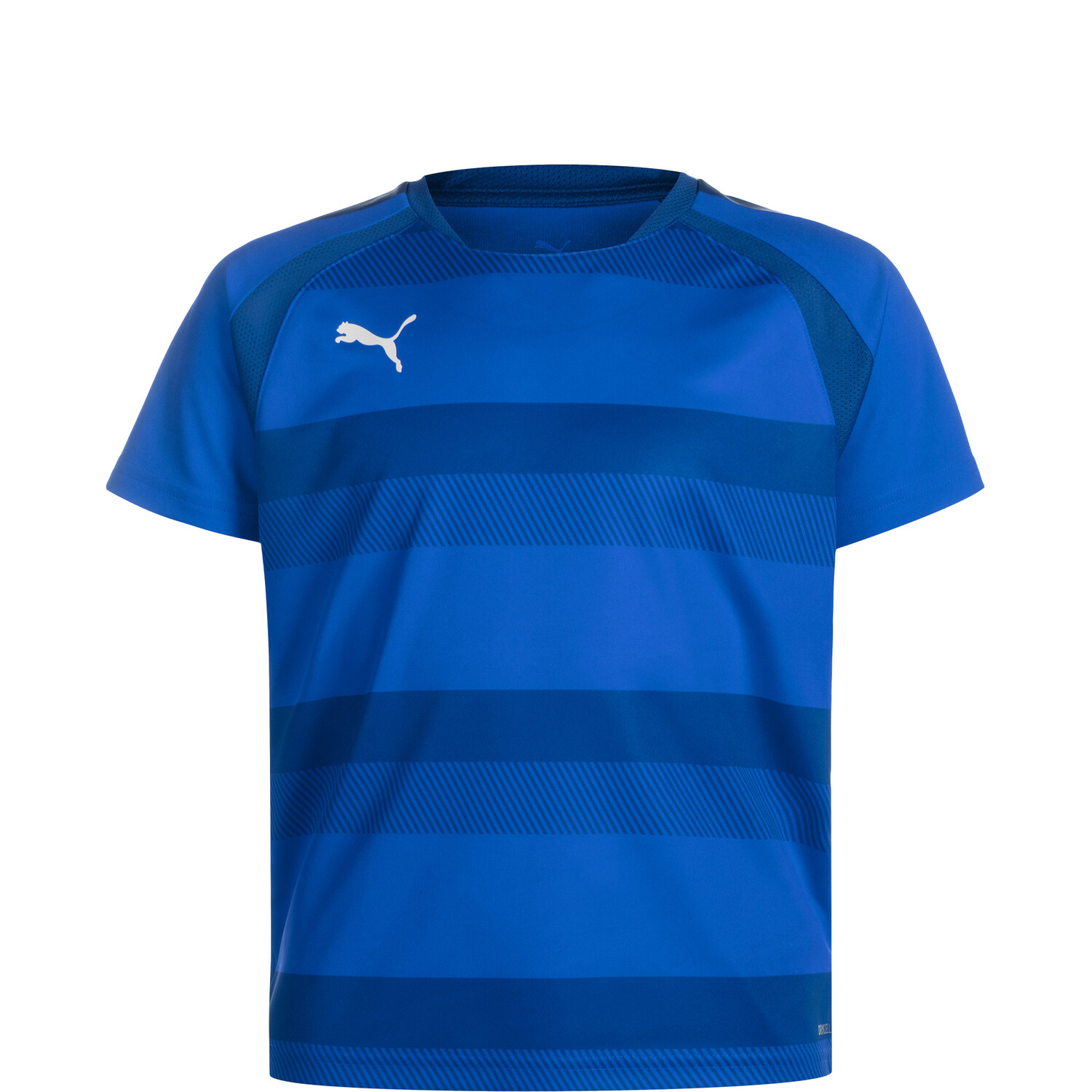 

Спортивная футболка Puma Fußballtrikot teamVision, синий