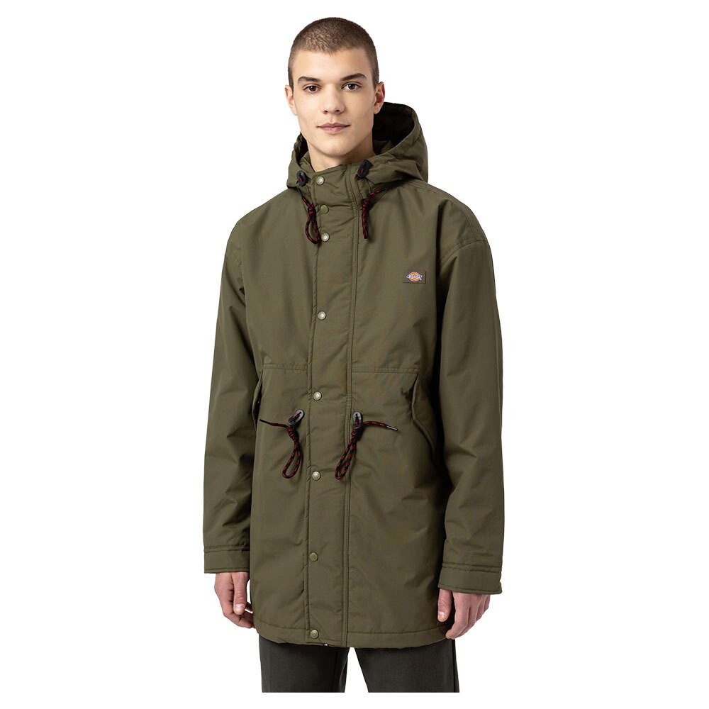 

Куртка Dickies Glacier View, зеленый