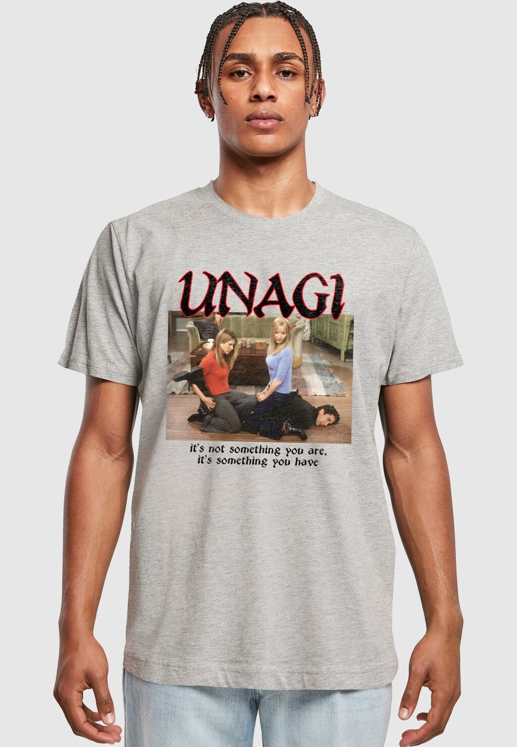 Футболка с принтом Friends Unagi ABSOLUTE CULT, цвет heather grey