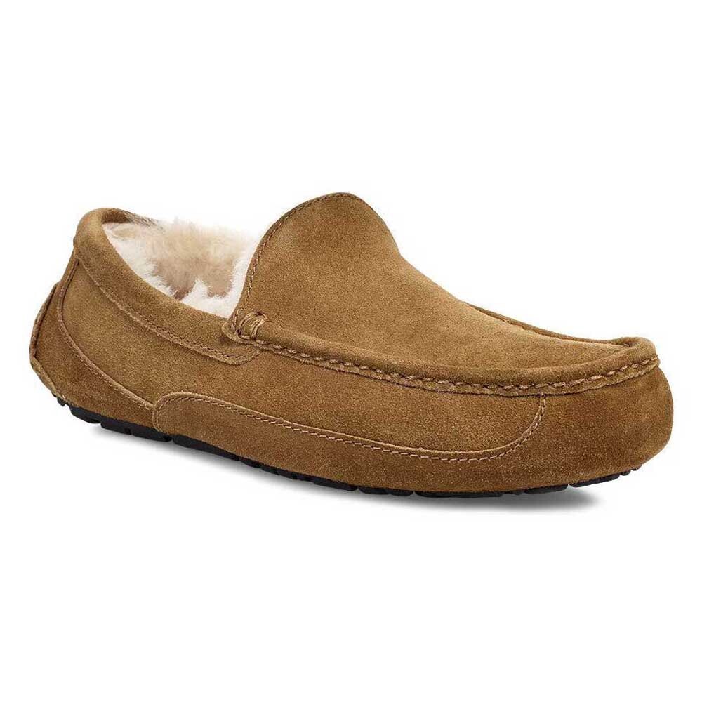 

Тапочки Ugg Ascot, коричневый
