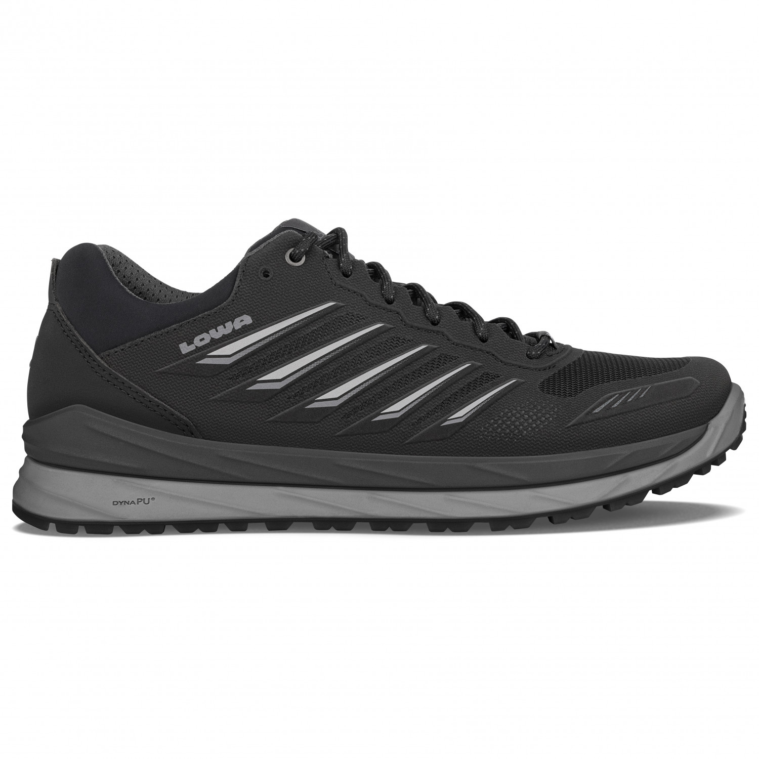 Мультиспортивная обувь Lowa Axos GTX LO, цвет Black/Grey