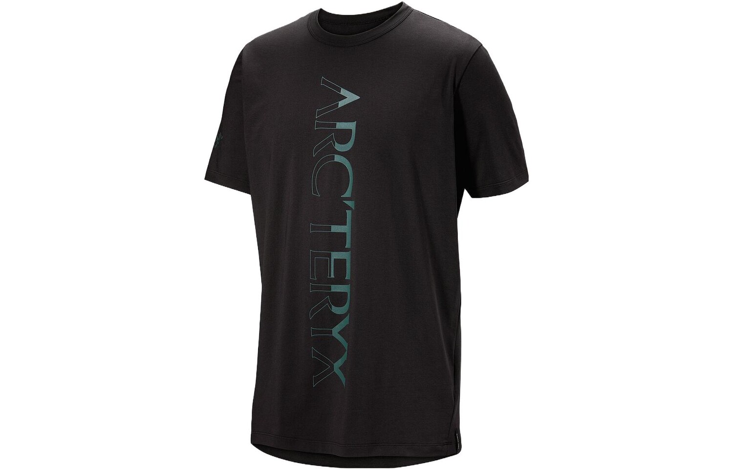 

Мужская футболка Arcteryx, цвет Arctic Silk