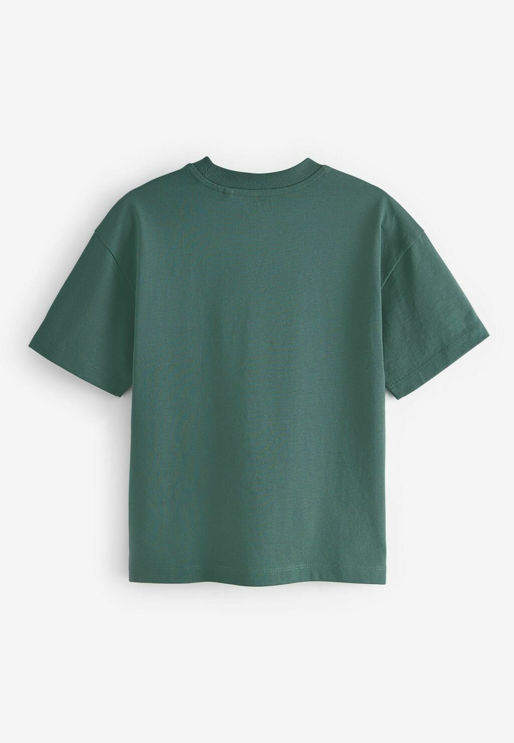 

Футболка с принтом SHORT SLEEVE GRAPHIC STANDARD Next, зеленый