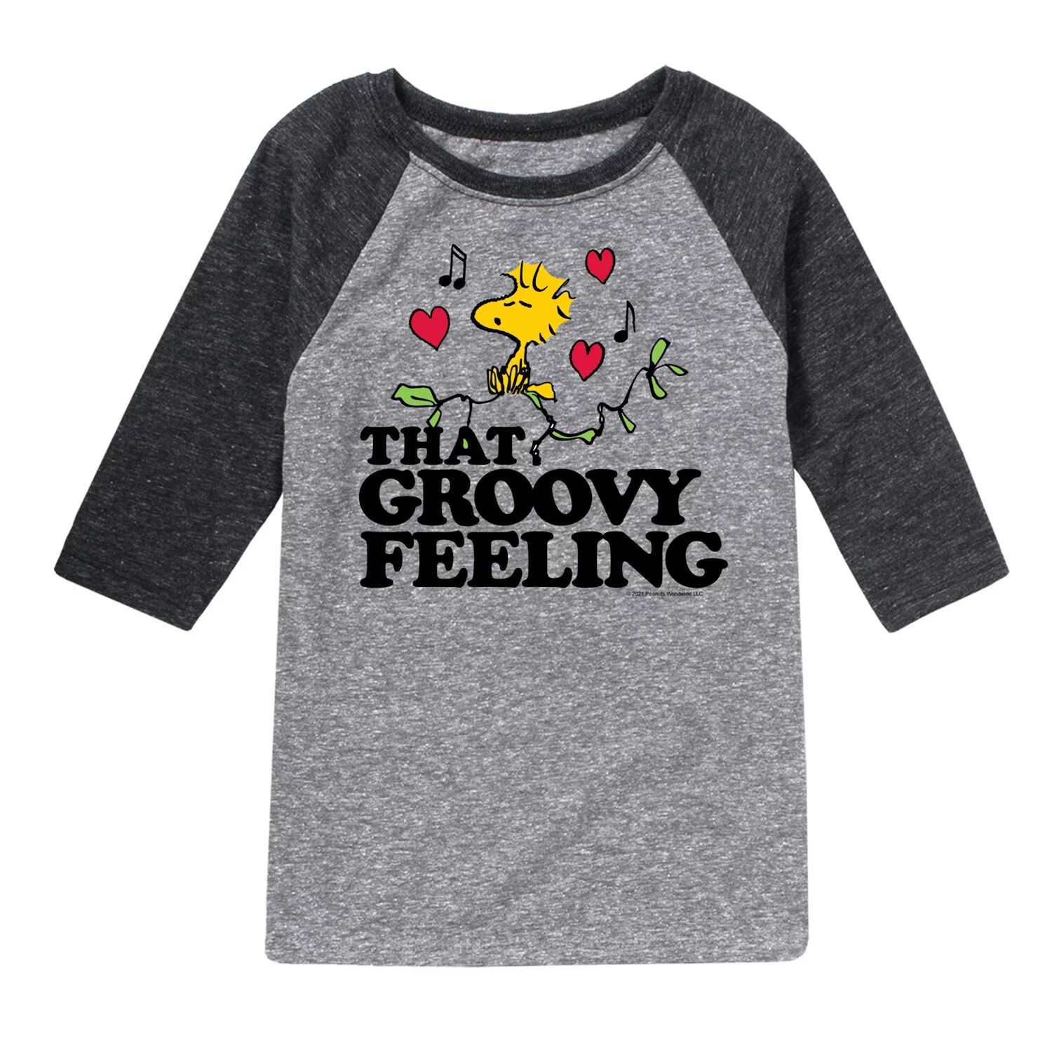 

Футболка реглан Peanuts Groovy Feeling для мальчиков 8–20 лет Licensed Character