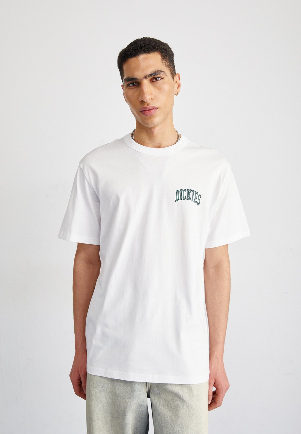 

Футболка с принтом AITKIN CHEST TEE Dickies, цвет white/dark forest