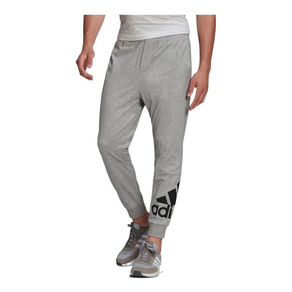 цена Спортивные штаны Men's adidas Pants Large Logo Sports Pants/Trousers/Joggers Gray, серый