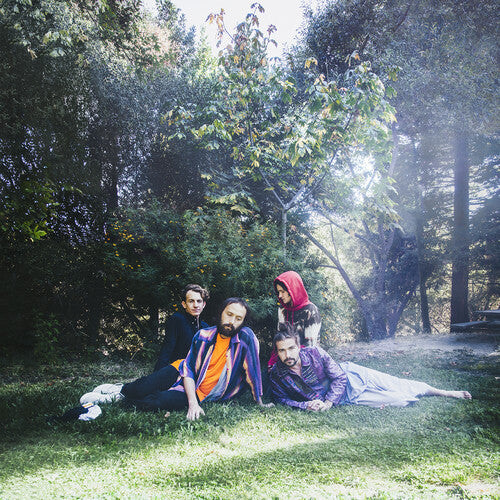 

CD диск Big Thief: U.f.o.f.