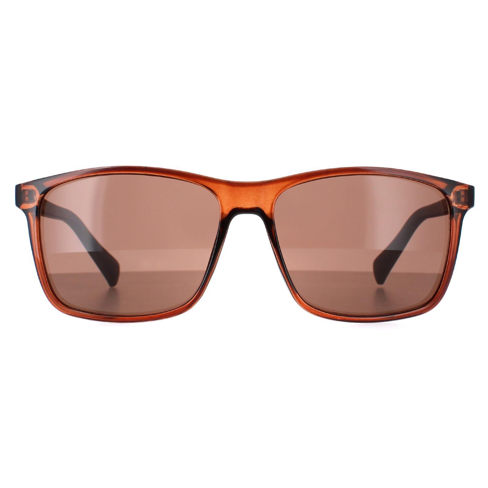 Прямоугольник Кристалл Коричневый Коричневый CK19568S CALVIN KLEIN, коричневый солнцезащитные очки zara premium rectangle коричневый