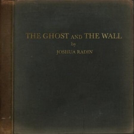 

Виниловая пластинка Radin Joshua - The Ghost and the Wall