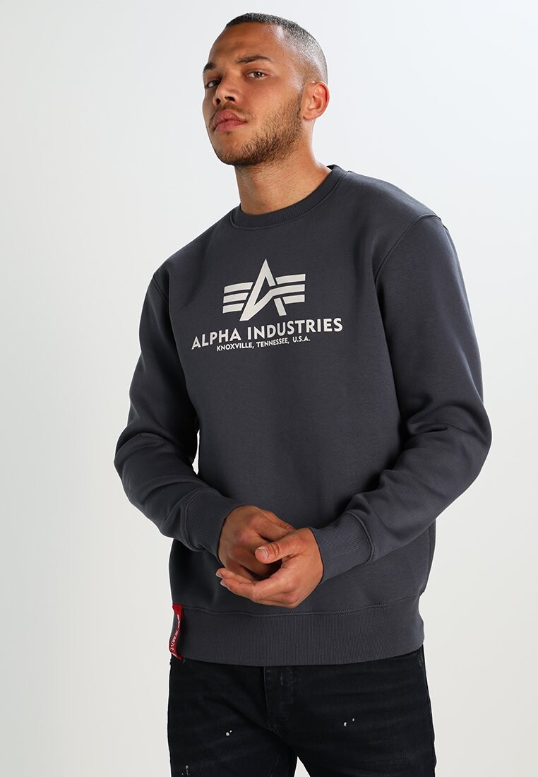 

Толстовка Alpha Industries, Серый