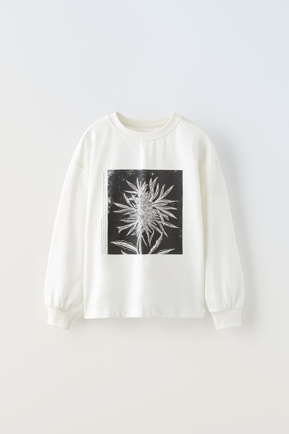 

Футболка с принтом ZARA, экрю