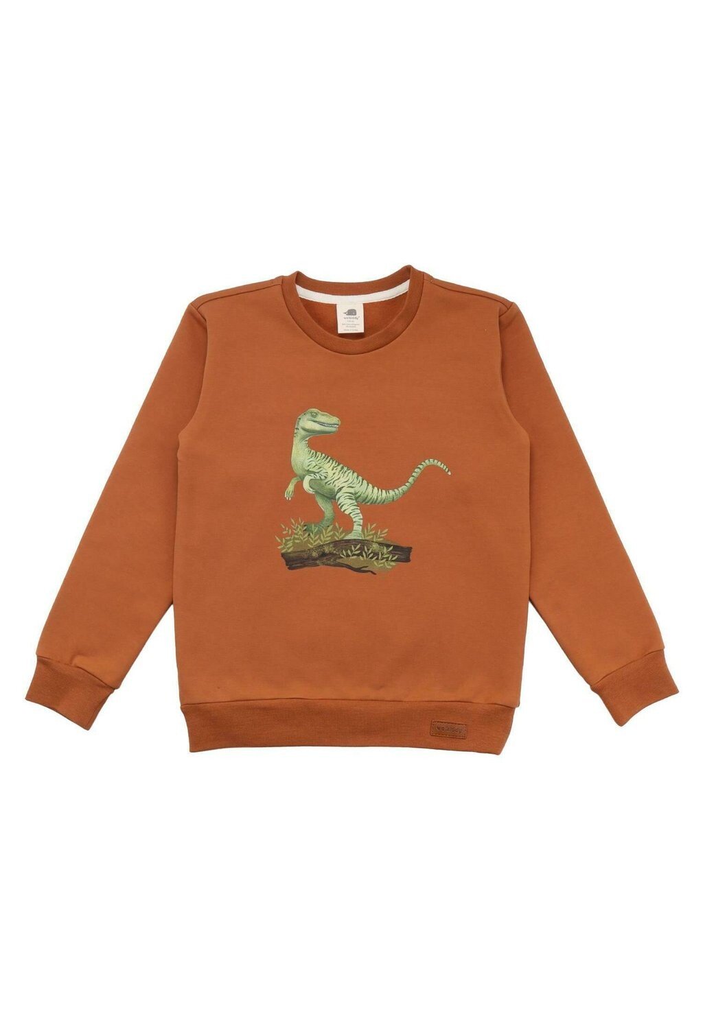 

Толстовка DINOSAUR JUNGLE Walkiddy, цвет braun