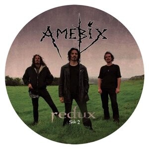 

Виниловая пластинка Amebix - Redux