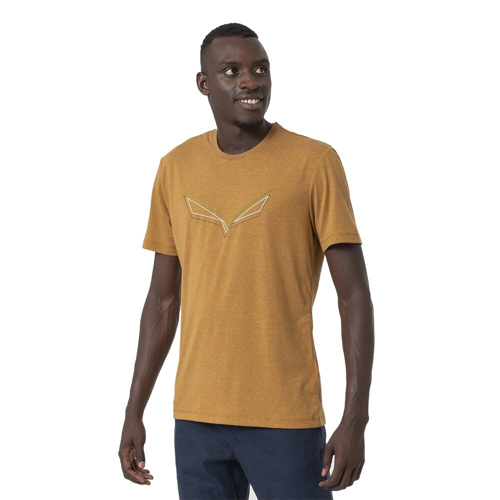 

Футболка Salewa Pure Eagle Frame Dry, коричневый