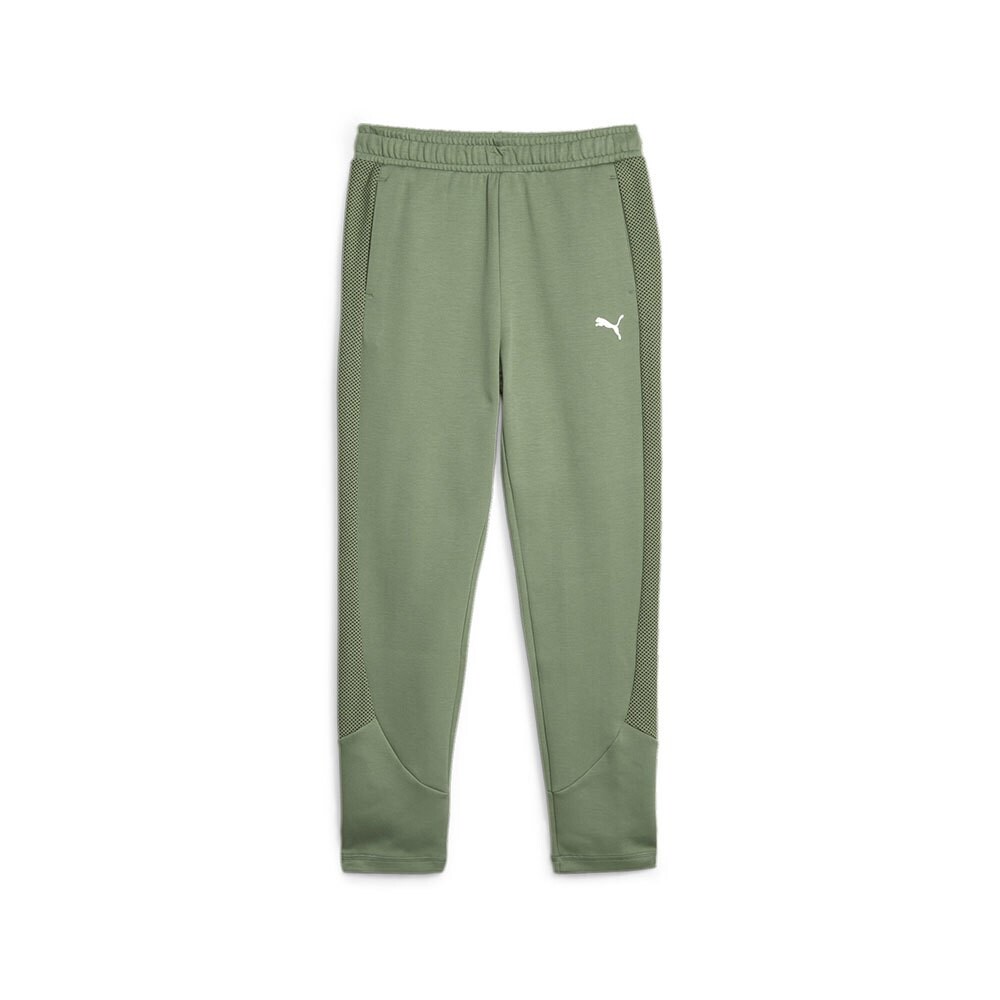 

Спортивные брюки Puma Evostripe High-Waist, зеленый