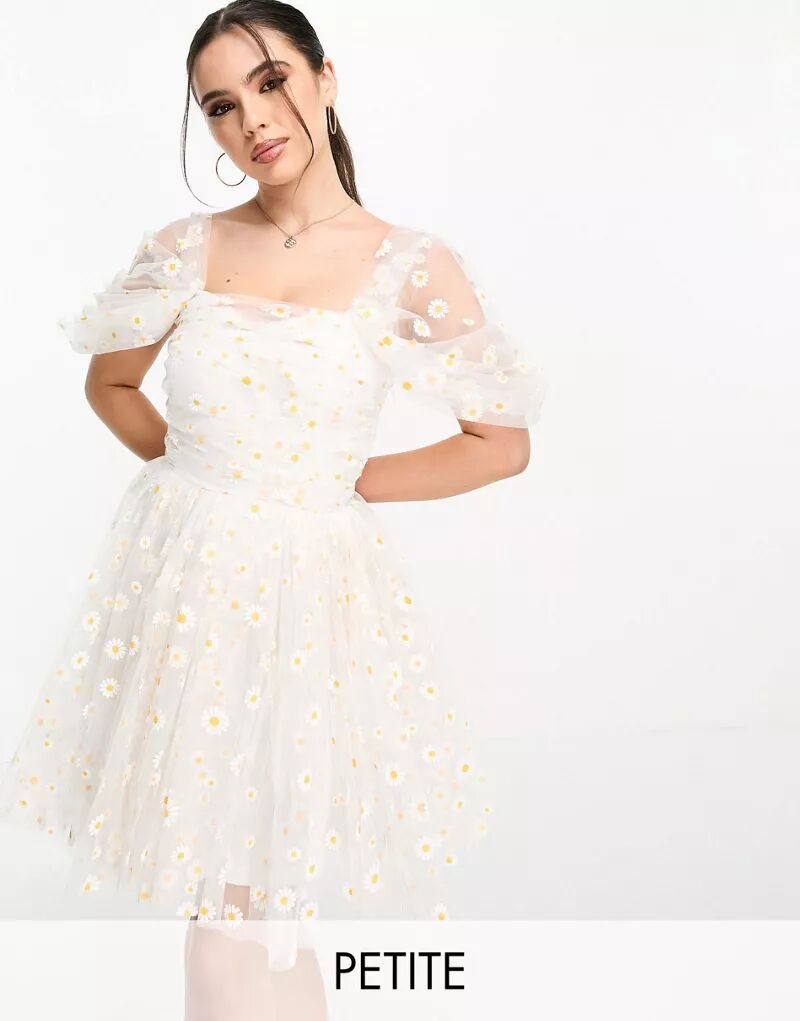Эксклюзивное платье мини из тюля Lace & Beads с белыми ромашками и сборками