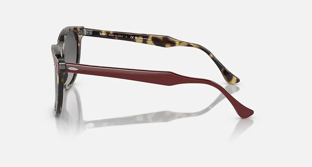 

Солнцезащитные очки Ray-Ban EAGLE EYE, серый
