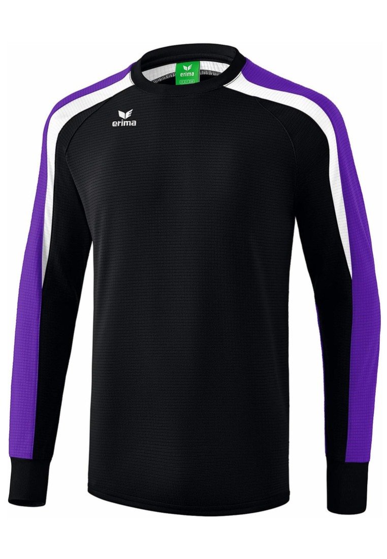 Толстовка LIGA Erima, цвет schwarz / violet тренировочная куртка erima цвет schwarz violet