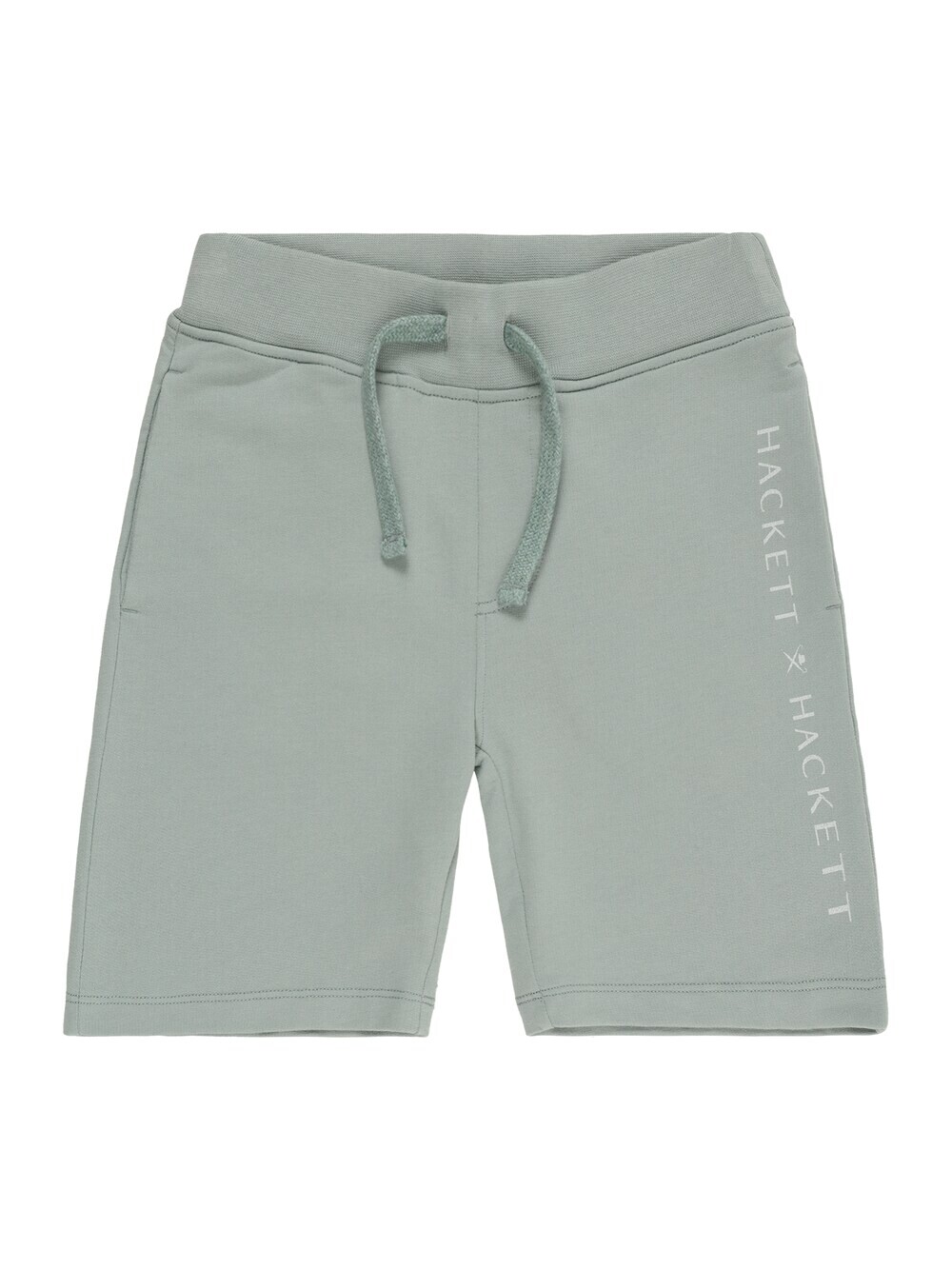 

Обычные брюки Hackett London, зеленый