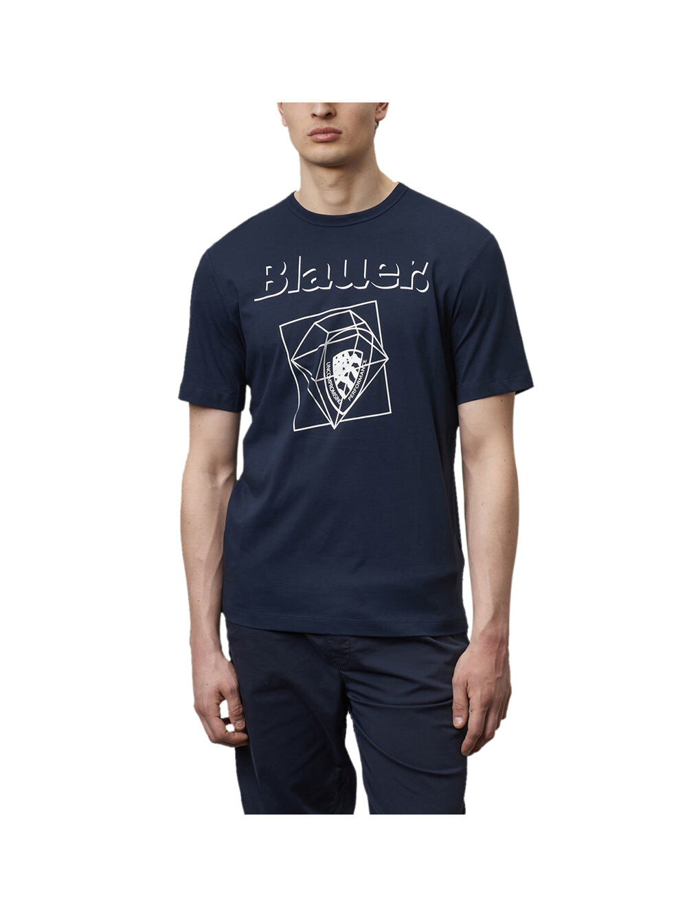

Синяя мужская футболка Blauer