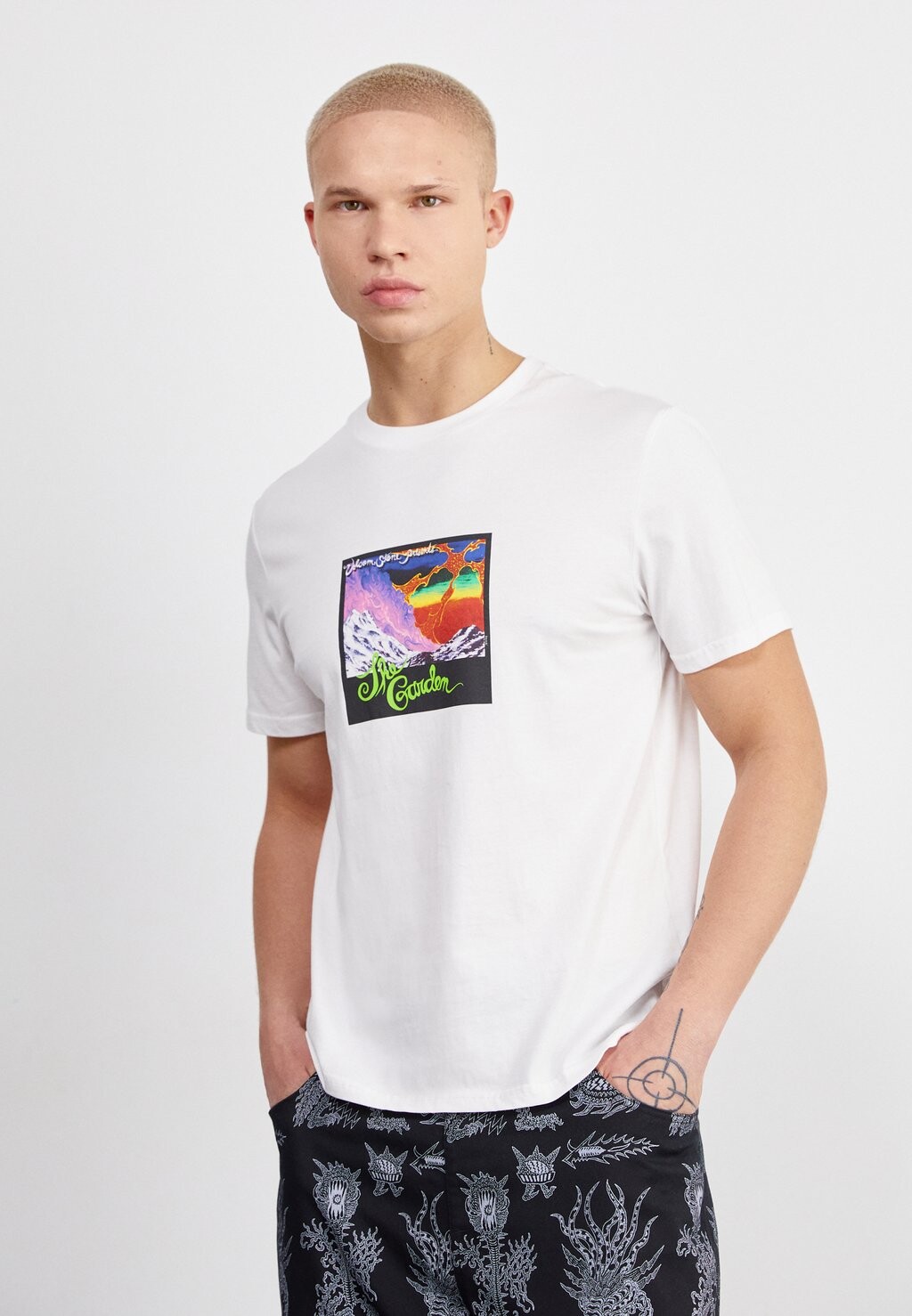 

Футболка с принтом THE GARDEN Volcom, цвет white