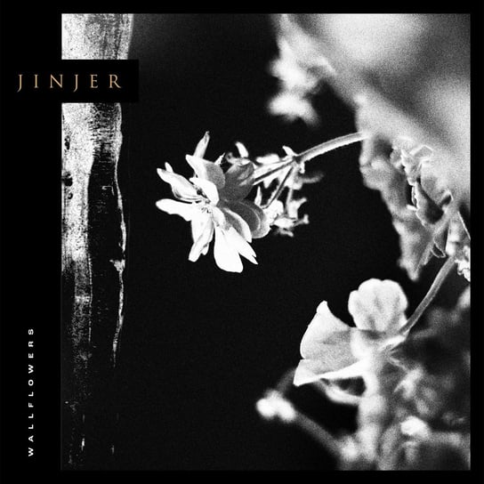 Виниловая пластинка Jinjer - Wallflowers