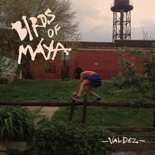 

Виниловая пластинка Birds Of Maya - Valdez