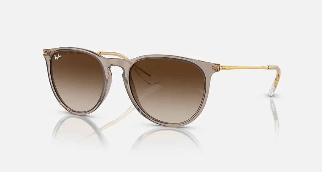 

Солнцезащитные очки Ray-Ban ERIKA CLASSIC, коричневый